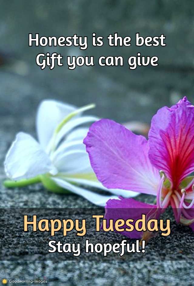 Happy Tuesday Images Wishes