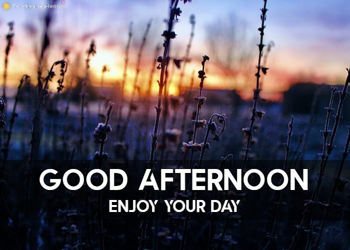 Good Afternoon Images HD