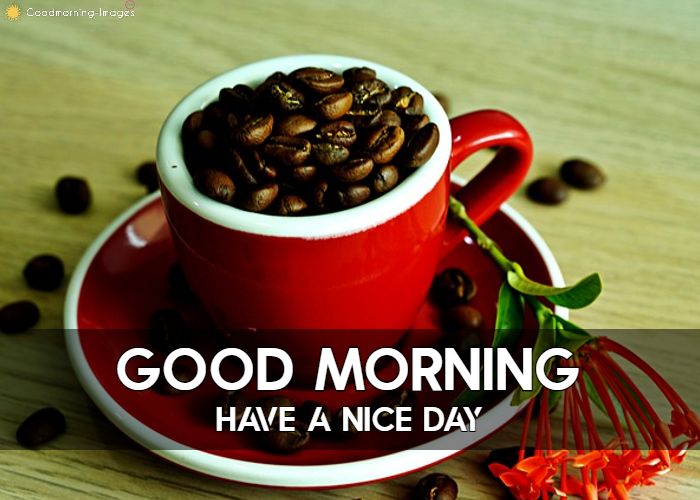 Good Morning Coffee Images Download In HD