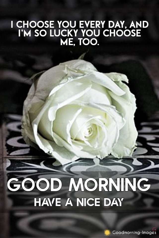 Good Morning Romantic Rose Images