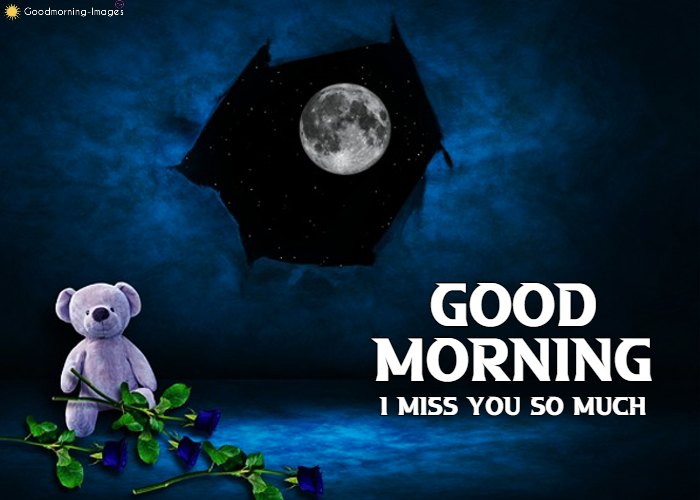 Good Morning Teddy Bear miss you Images