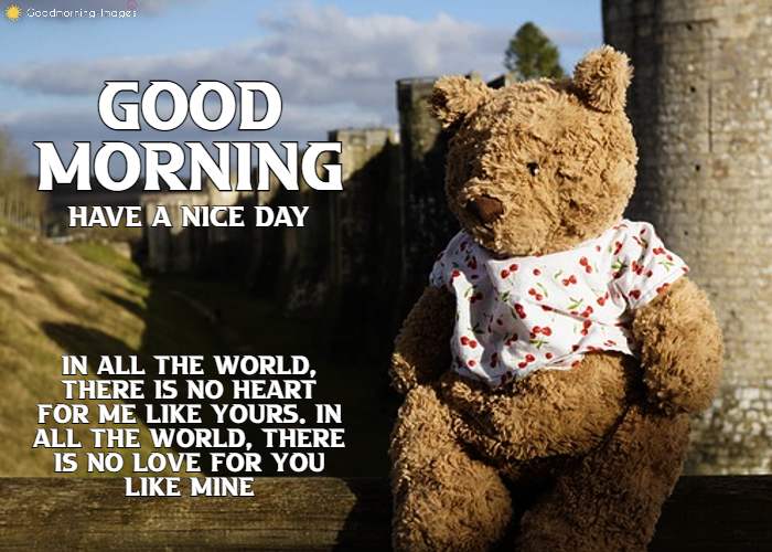 Good Morning Teddy Bear Pictures
