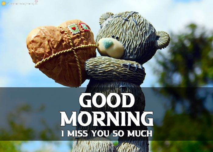 I Miss You Teddy Bear Images