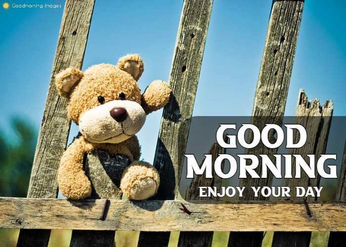 Romantic Good Morning Teddy Bear Images