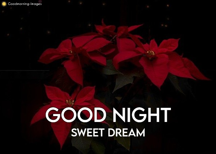 Nice Good Night Images