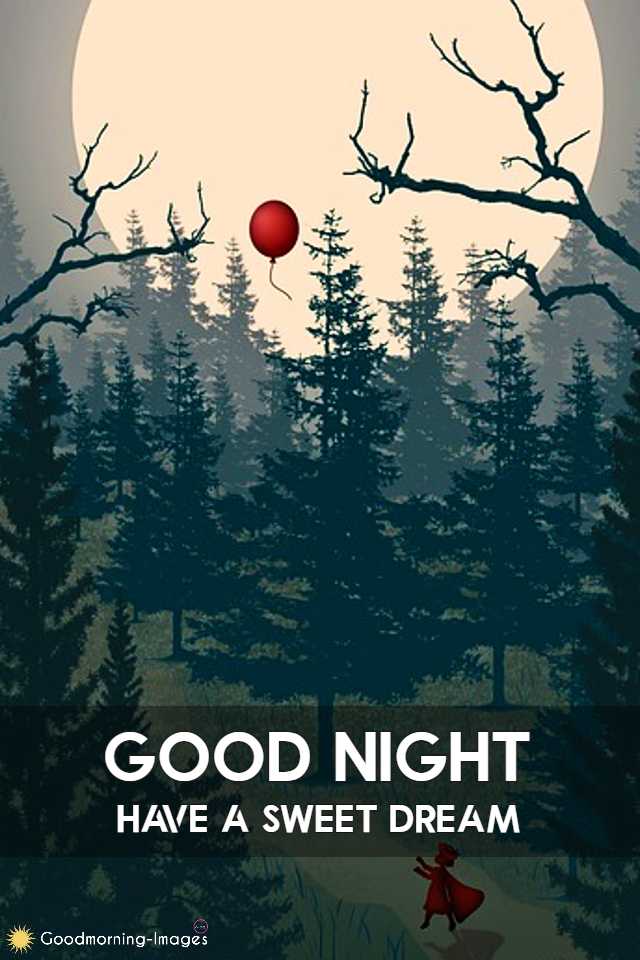 Good Night Status Images