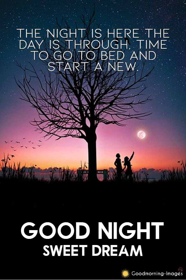 Good Night Status Images