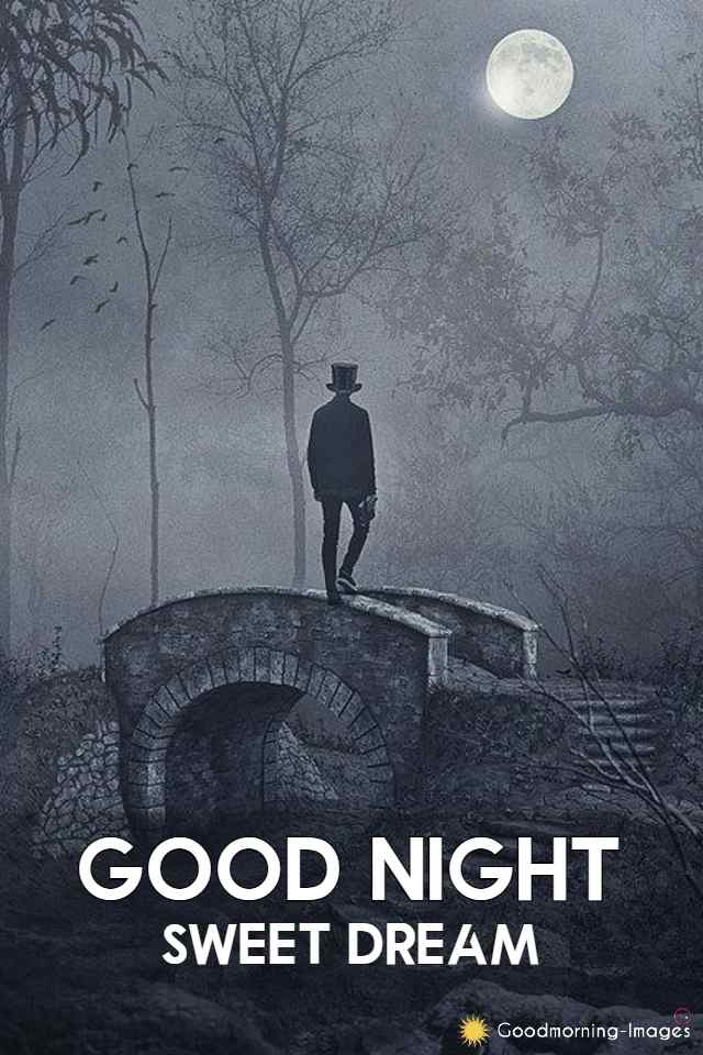 Good Night Status Images