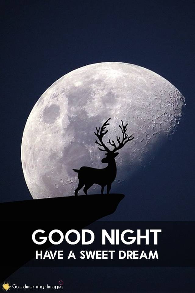 Good Night Images For Instagram