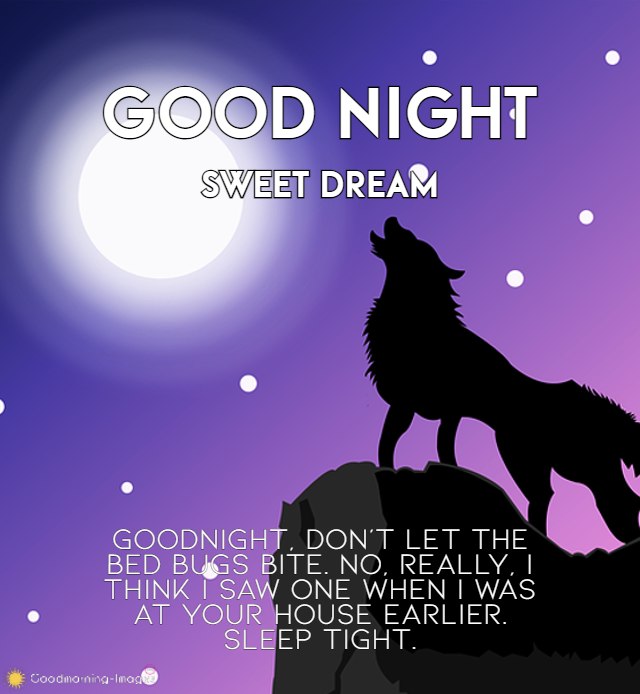 Special Good Night Images