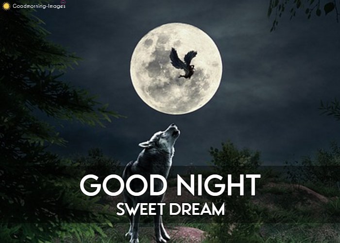 Special Good Night Images