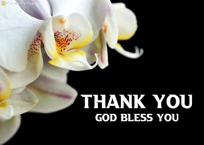 Grateful Thank You Images