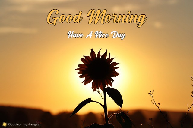 HD Good Morning Pictures