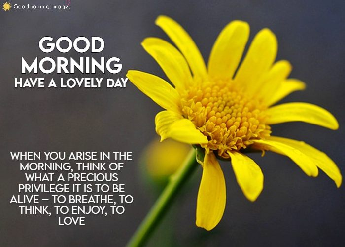 Good Morning Images with Wishes Messages