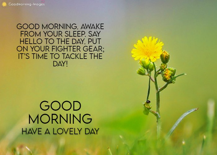 Good Morning HD Images with Wishes Messages