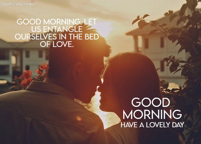 Good Morning Love Messages Images