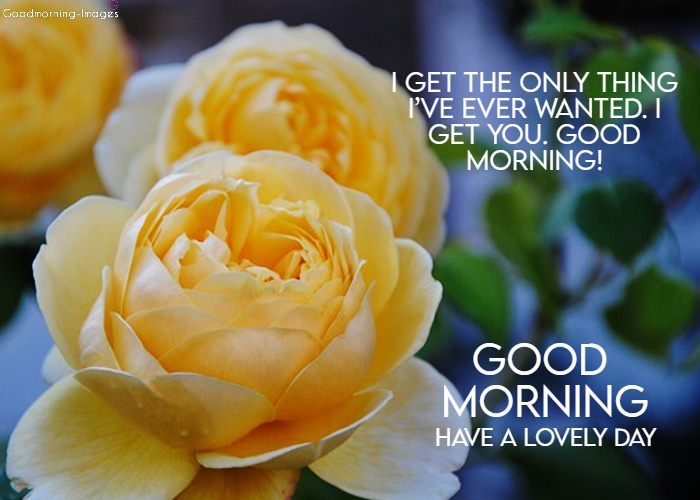 Good Morning Love Messages Pictures