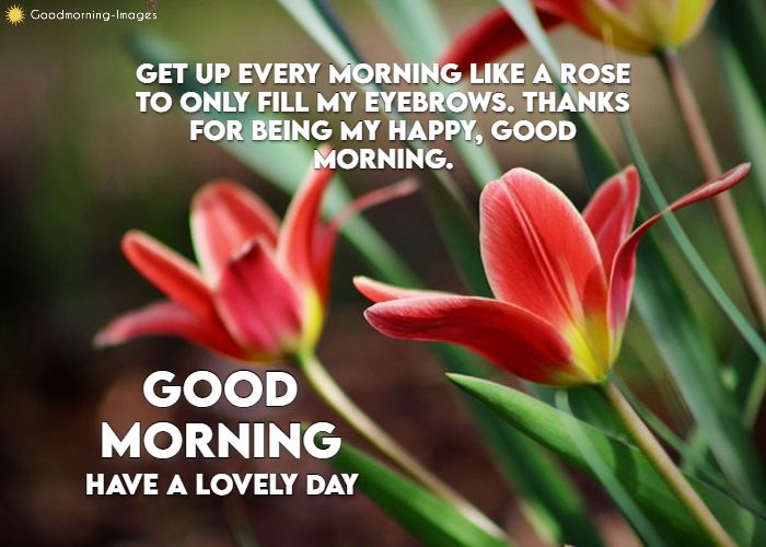 Good Morning Messages Images For Friends