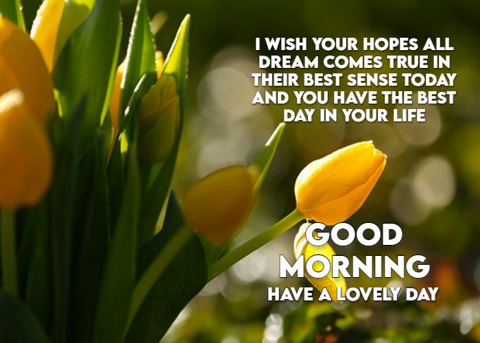 Good Morning Images Messages For Friends
