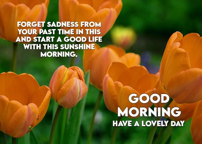 Good Morning Images Messages For Friends