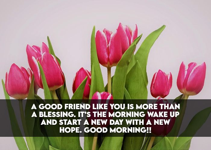 Good Morning Images Wishes For Friends