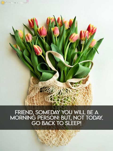 Good Morning Messages For Friends