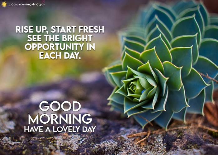 Good Morning Sayings With Images