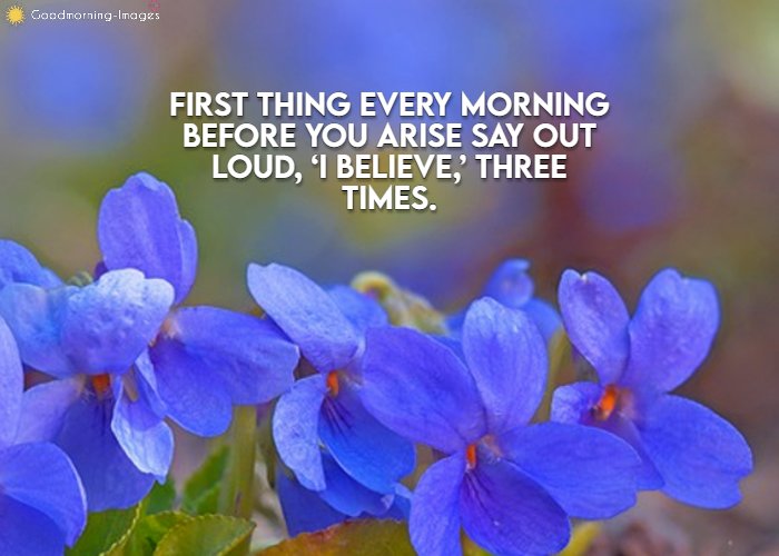 Good Morning Quotes & Sayings