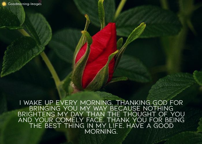 Romantic Good Morning Message For Her