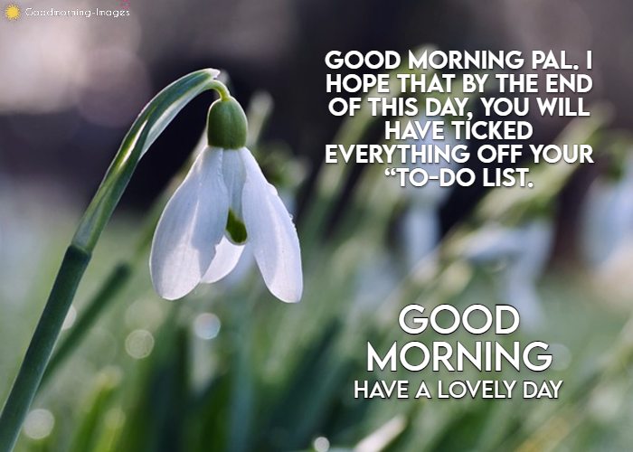 Lovely Good Morning Wishes for Friends