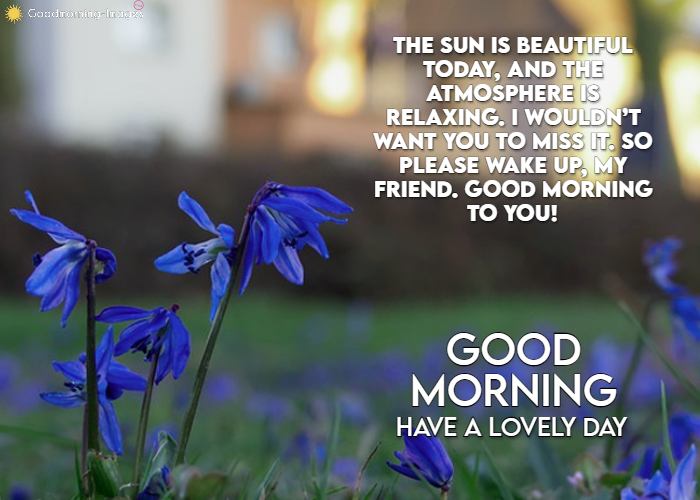 Lovely Good Morning Wishes for Best Friends