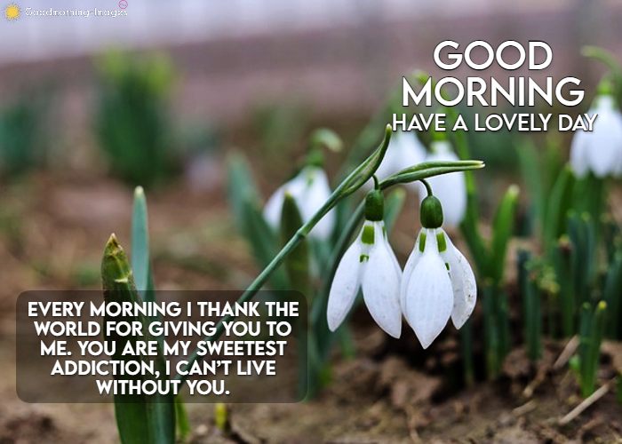 Good Morning Wishes Messages