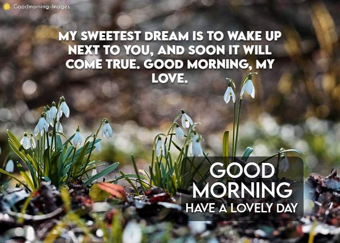 Good Morning Wishes Messages Images