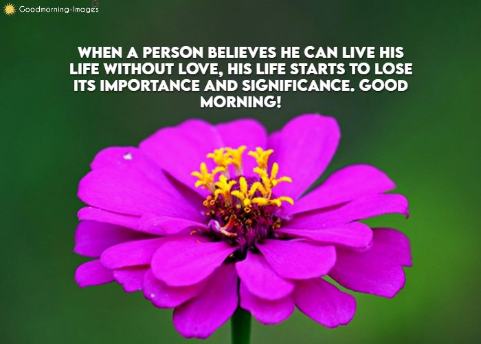 Heart Touching Good Morning Messages
