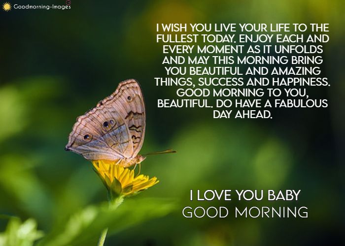 Long Good Morning Wishes Messages For Lover