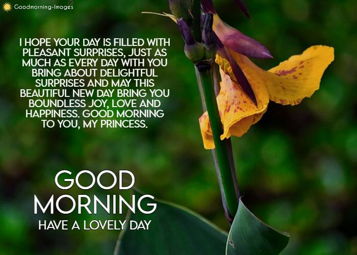 Long Good Morning Messages For Lover Images