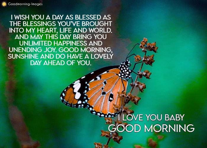 Long Good Morning Wishes Messages For Lover