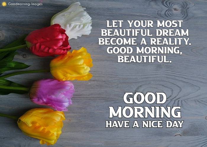 Good Morning Love Wishes Images