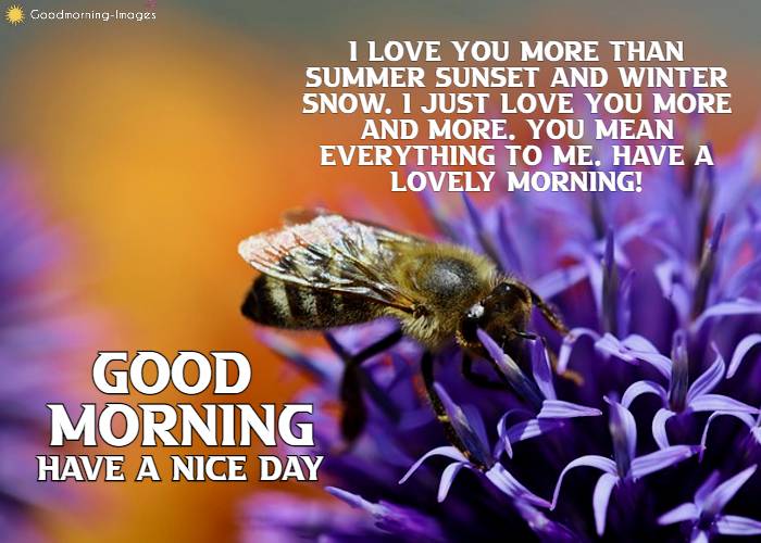Good Morning Love Wishes Messages Images