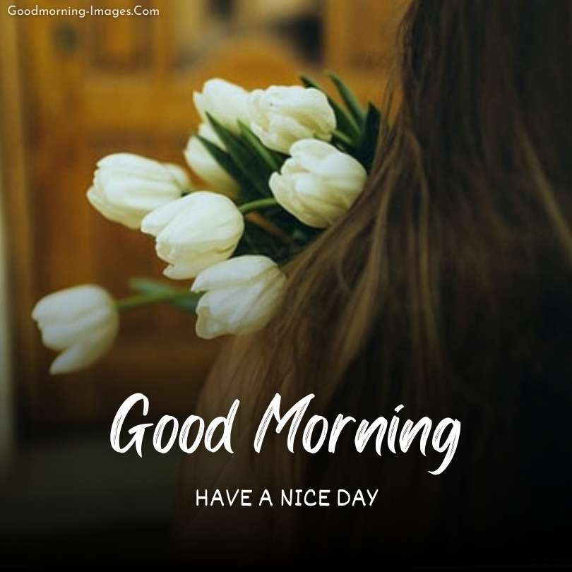 Lovely morning wishes images