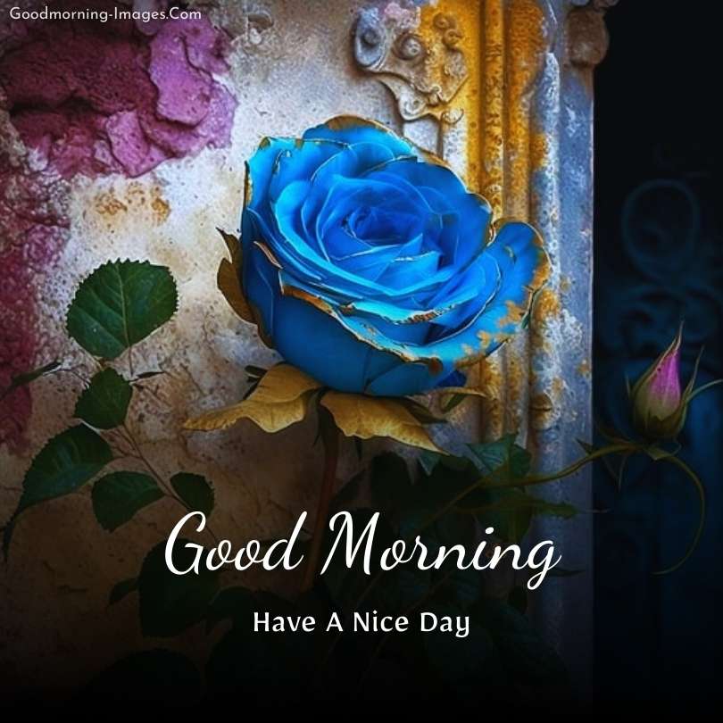 Rose Lovely morning wishes images