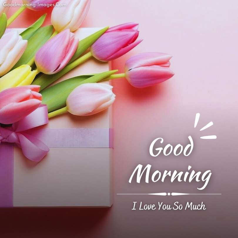 Lovely morning flower greetings images