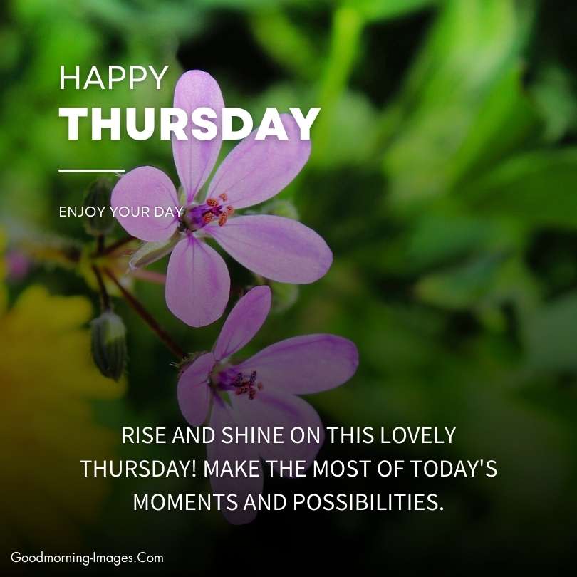 Happy Thursday Good Morning Greetings
