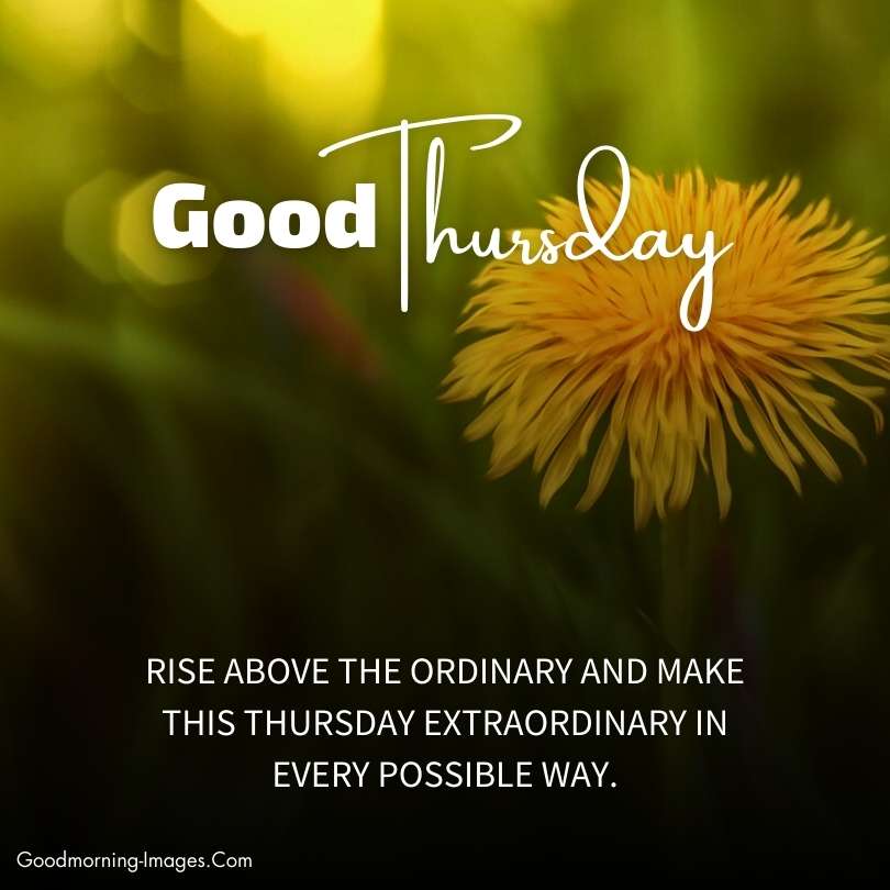 Happy Thursday Good Morning Wishes