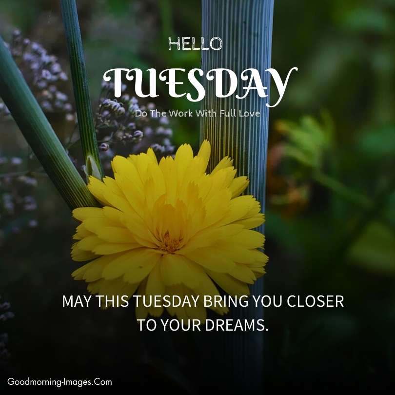 Tuesday Good Morning Blessings