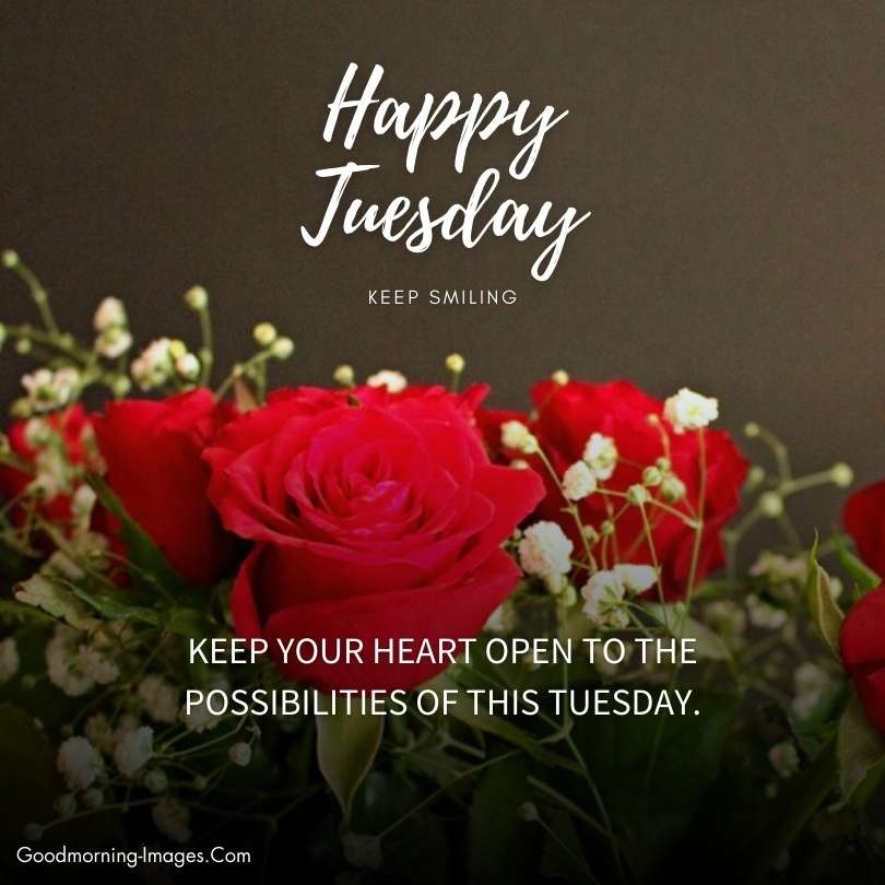 Happy Tuesday Good Morning Messages