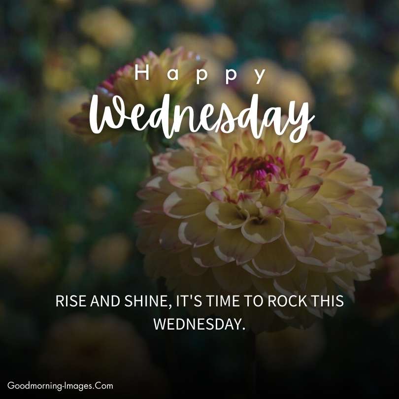 Happy Wednesday Good Morning Blessings