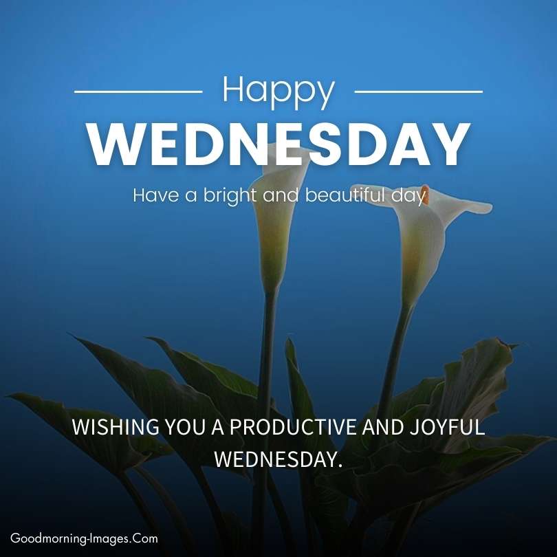Happy Wednesday Good Morning Blessings