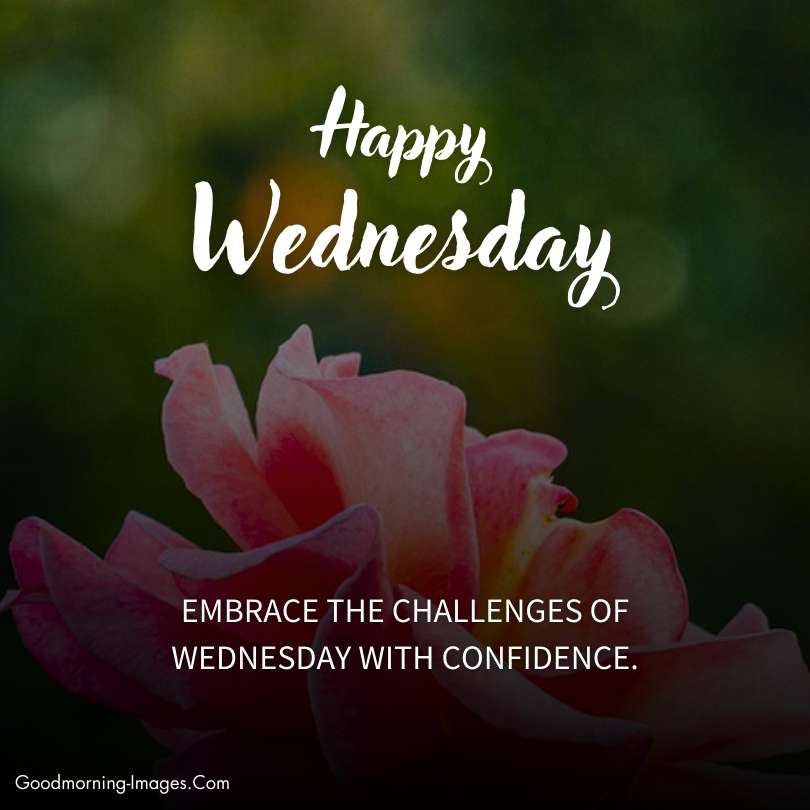 Wednesday Good Morning Messages