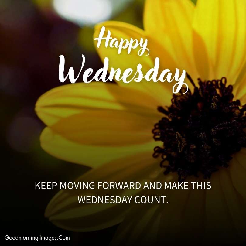 Happy Wednesday Good Morning Messages